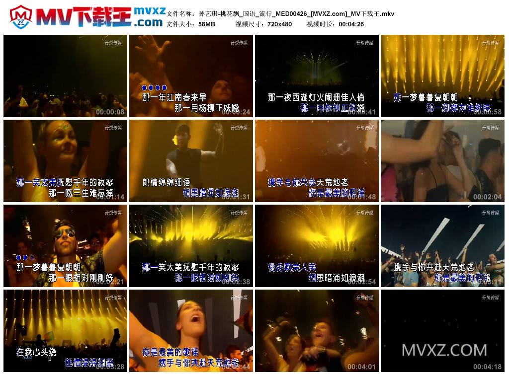 孙艺琪-桃花飘_国语_流行_MED00426